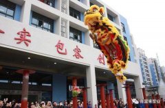 醒狮贺岁，米兰官方站网页版-米兰online中国2019年开工大吉